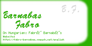 barnabas fabro business card